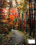 じゅうたん紅葉の風景、自然景色のペルシャ50102、ペルシャ絨毯壁掛け、サイズ：71x51ｃｍ（フサ含まず）
